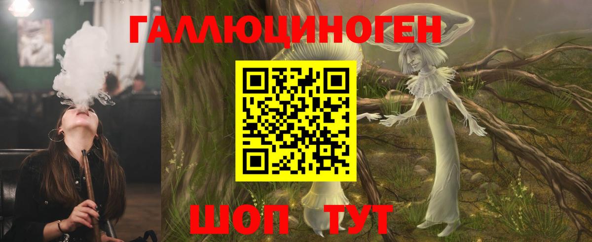 Новозыбков  цена наркотик  Вход с VPN  Галлюциногенные грибы Cubensis 