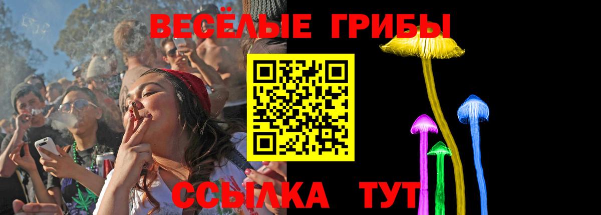 Галлюциногенные грибы Cubensis Новозыбков